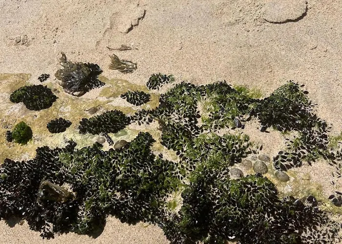 Casa vacanze Jugendstil - 2 Min Zum *